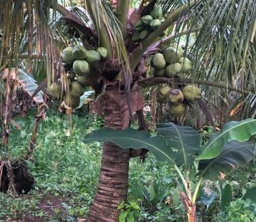 Batuan House | MIOKI HOMETEL