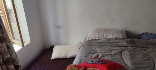 Srinagar House | Mir guest house