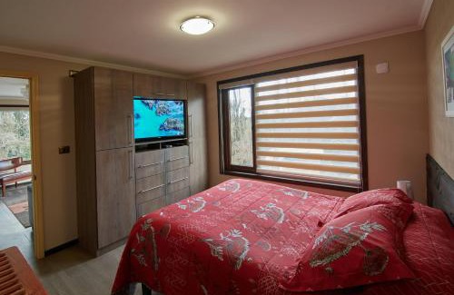 Osorno Apartment | mirabosque new aparments 4