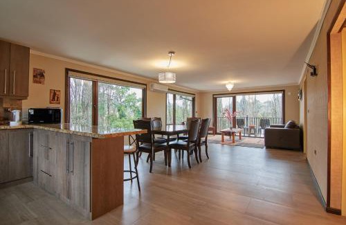 Osorno Apartment | mirabosque new aparments 4