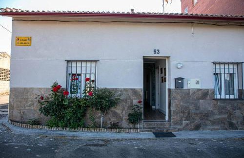 Leon House | MiraLeón