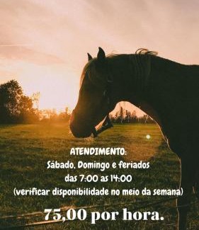 Corrego do Bom Jesus House | Mirante Da Colina08, com hidro, café da manhã e piscina