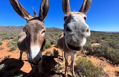 Witzenberg House | Miskloof Farm