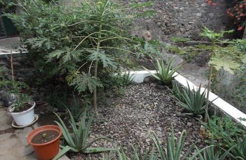 Paul Bed & Breakfast | Misurino