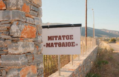 Naxos Apartment | Mitatos "Matthew"