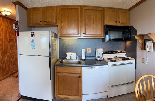 Snowshoe Condo | ML 342: Ballhooter views from this delightful, bike-in/out 1BR!