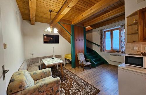 Vlachy Apartment | Mlyn Vlachy 1997