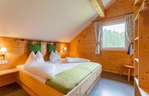 Hohentauern Ski Chalet | Moarhof