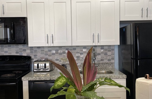 Estate Golden Rock Condo | Modern 1 bed 1 bath beachfront condo with breathtaking views 5 minutes from town