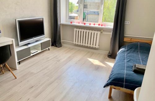 Jekabpils Apartment | Modern Apartment in Jekabpils Nr1