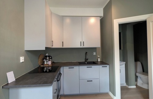 Trondheim Condo | Modern apartment in central Ila