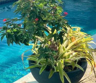 Bon Accord Village Apartment | Modern Apartment near Pigeon Point with Breakfast
