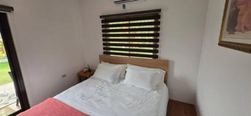 Lubao Bed & Breakfast | Modern chalet type building set in quite garden area