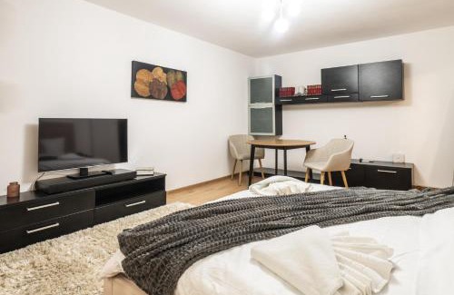 Aviatiei Apartment | Modern & Cozy Studio - Near Herastrau Park