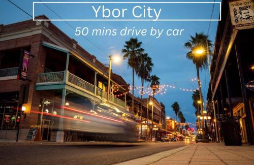 Tarpon Springs House | MODERN - Mins to Beach - Walk to Downtown - Free parking