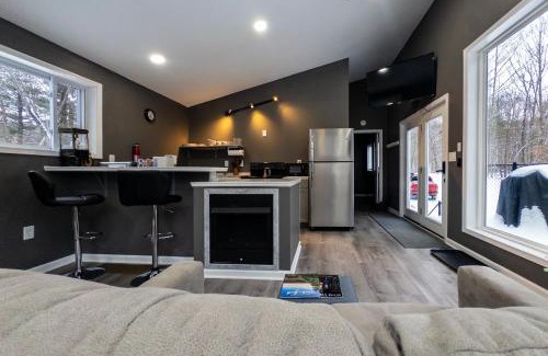 Nimitz Apartment | Modern Nimitz Cabin on 19 Acres with Fireplace and WiFi