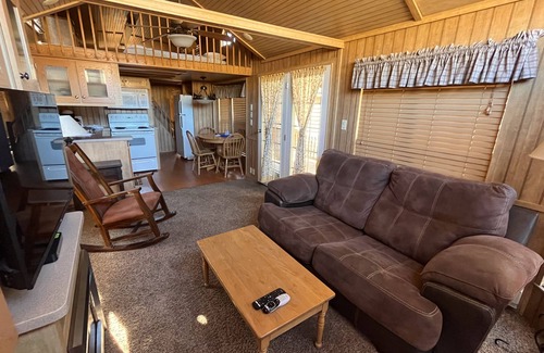 Almont Cabin | Modern "Tiny Home" Style Cabin on Taylor River with Private Fishing Access