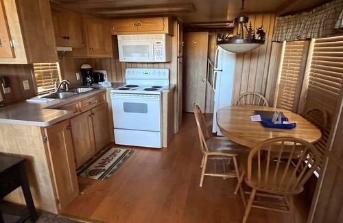 Almont Cabin | Modern "Tiny Home" Style Cabin on Taylor River with Private Fishing Access