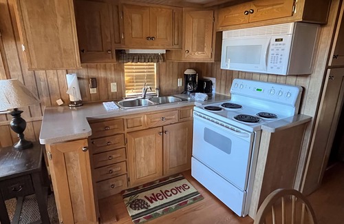 Almont Cabin | Modern "Tiny Home" Style Cabin on Taylor River with Private Fishing Access