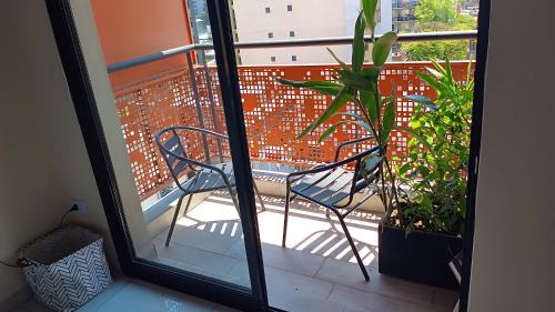 Province of Tucuman Apartment | Moderna Suite GPT with a swimming pool