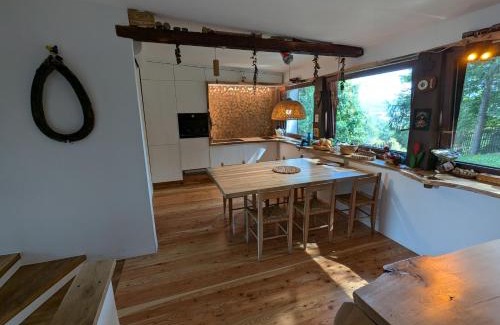 Roznow Villa | Modernistyczna willa poety i aktorki, z widokiem na jezioro i góry oraz prywatnym basenem, sauną, kominkiem, lasem i ogrodem