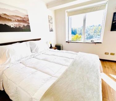 Osorno Apartment | Moderno departamento en Osorno