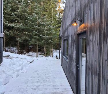 Yablunytsya House | Moho Будинки для відпочинку