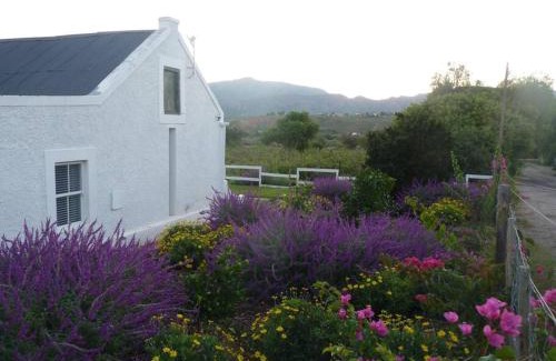 Calitzdorp House | Moira's Cottage