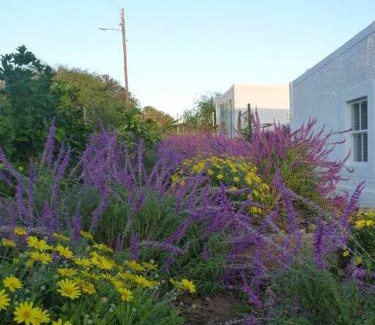 Calitzdorp House | Moira's Cottage