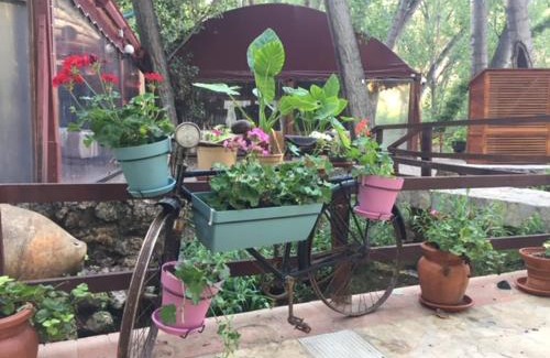 Alborache Apartment | Molino Galán