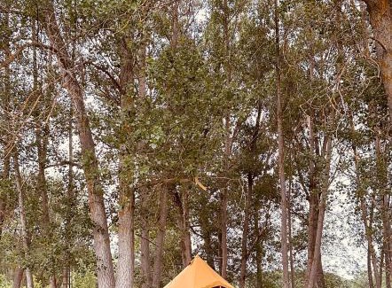 Polientes Apartment | Molino Tejada