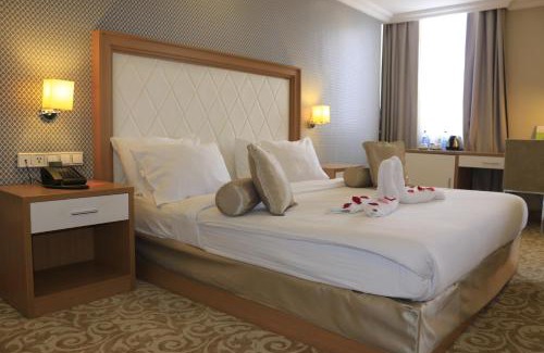 Bole Hotel | Momona Hotel