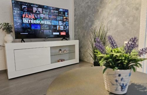 Hunedoara Apartment | Mona Central Apartment