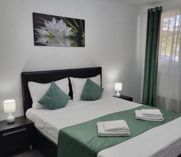 Hunedoara Apartment | Mona Central Apartment