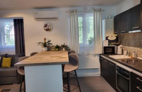 Hunedoara Apartment | Mona Central Apartment