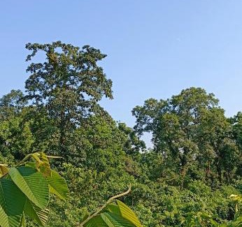 Alipurduar Bed & Breakfast | Mondal home stay