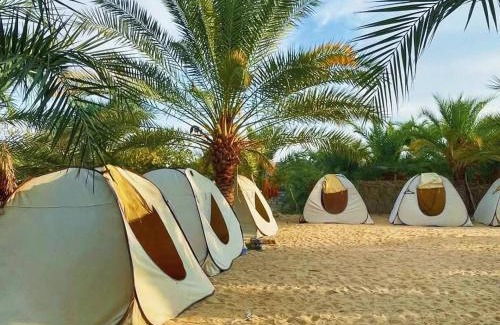 Siwa Other | Monica Camp Siwa مونيكا كامب سيوة