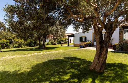 Zambujeira do Mar House | Monte Das Alpenduradas