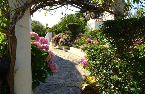Odemira House | MONTE DO CHAPARRO by Stay in Alentejo