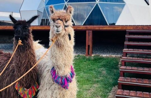 Monte das Gameleiras House | Monte dos Domos