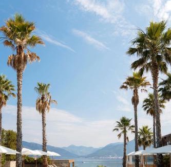 Durasevici Hotel | Monte Palm Beach