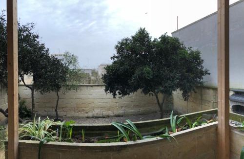 Cavallino House | Monterussi Bed and Breakfast