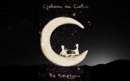 Jezow Sudecki Apartment | Moon Hill's Lord