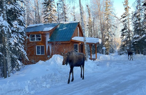 Wasilla Cabin | Moose Landing Cabin A85 just minutes from Main St in Wasilla