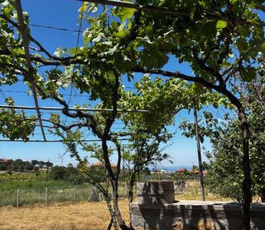 Ayvacik House | Moray pansiyon