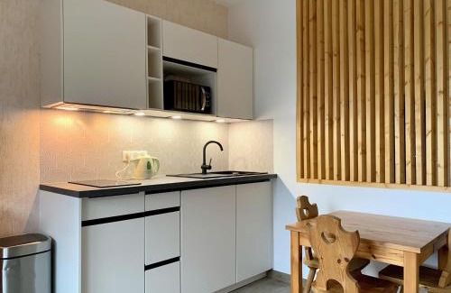 Morzine Apartment | Morzine centre Shufu studio
