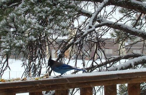 Red River House | Mountain side home overlooking village and ski area