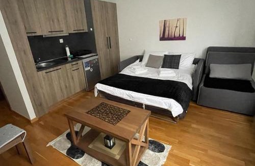 Kopaonik Apartment | Mountain Story