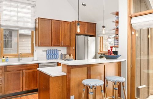 Telluride House | Mountain-view dog-friendly townhome with fireplace & AC - walk to lifts