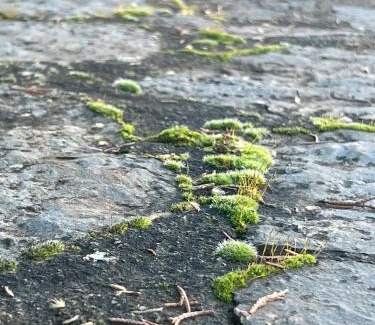 Polidrosos Villa | Mountain View - Full Villa